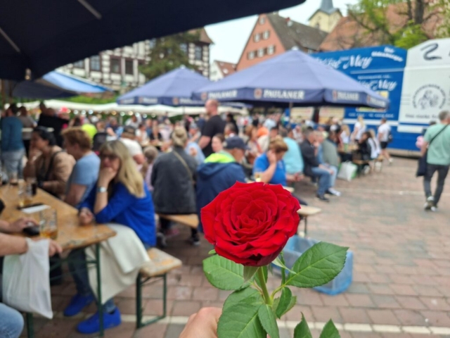 2026-05-10_VOS HS-Fischmarkt-Rose