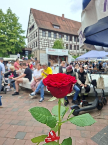 2026-05-10_VOS HS-Fischmarkt-Rose-Aufkleber