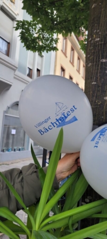 Bächle Fest_08
